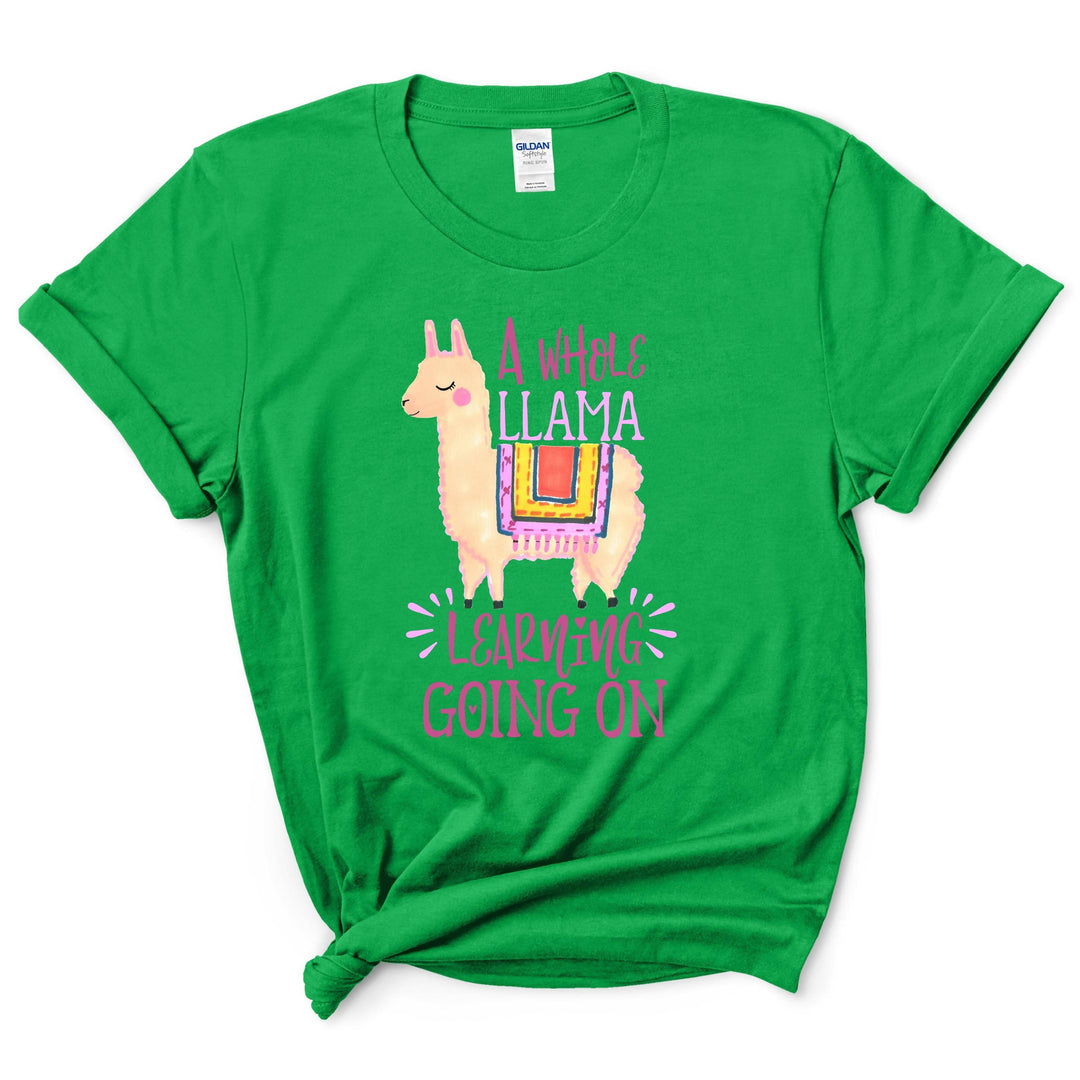 A Whole Llama Goin On Shirt